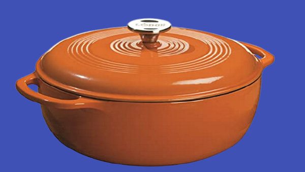 10 Best Dutch ovens of 2024- By cookware experts