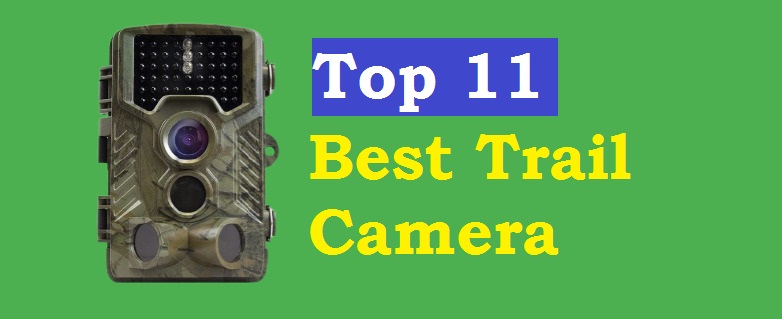 The Best trail cameras of 2023-Top wildlife photography camera